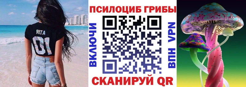 Псилоцибиновые грибы GOLDEN TEACHER Купить закладки Велиж